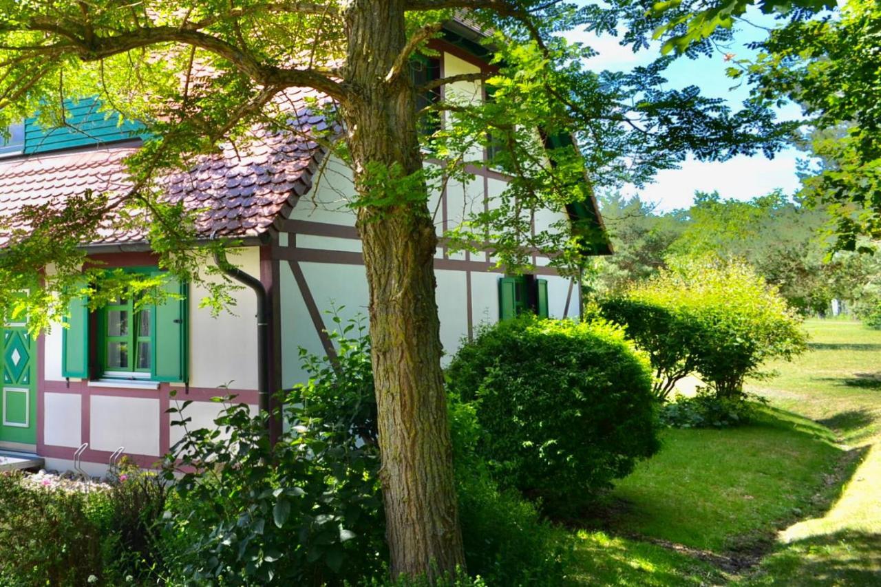 Strandnahe Ferienwohnung Ruegen Dranske Ngoại thất bức ảnh